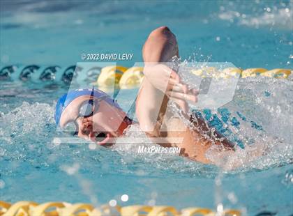 Thumbnail 3 in AIA D2 Swim Finals photogallery.