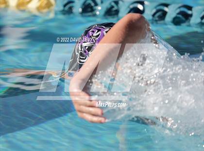 Thumbnail 3 in AIA D2 Swim Finals photogallery.