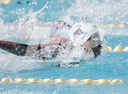 Thumbnail 1 in AIA D2 Swim Finals photogallery.