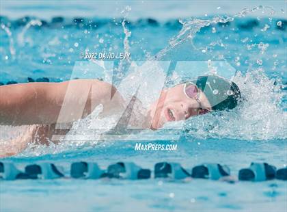 Thumbnail 2 in AIA D2 Swim Finals photogallery.