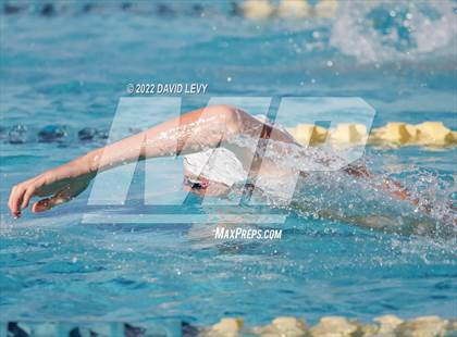 Thumbnail 2 in AIA D2 Swim Finals photogallery.