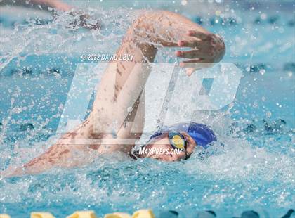 Thumbnail 3 in AIA D2 Swim Finals photogallery.