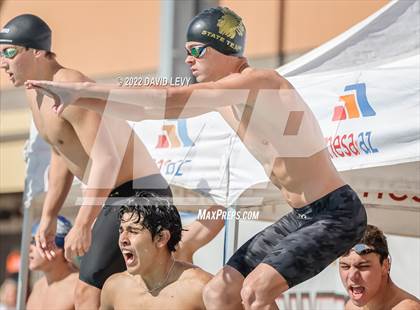 Thumbnail 1 in AIA D2 Swim Finals photogallery.