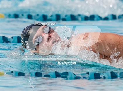Thumbnail 1 in AIA D2 Swim Finals photogallery.