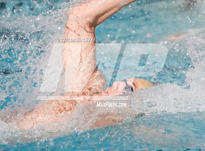 Thumbnail 1 in AIA D2 Swim Finals photogallery.