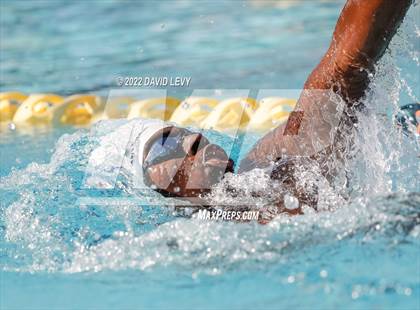 Thumbnail 2 in AIA D2 Swim Finals photogallery.