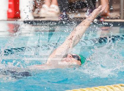 Thumbnail 3 in AIA D2 Swim Finals photogallery.