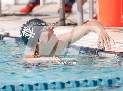 Thumbnail 3 in AIA D2 Swim Finals photogallery.