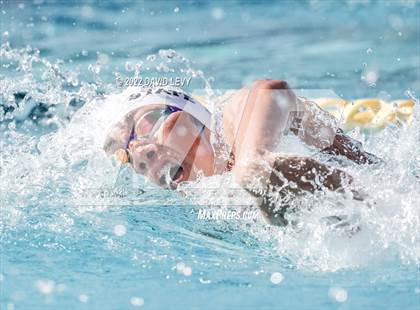 Thumbnail 1 in AIA D2 Swim Finals photogallery.