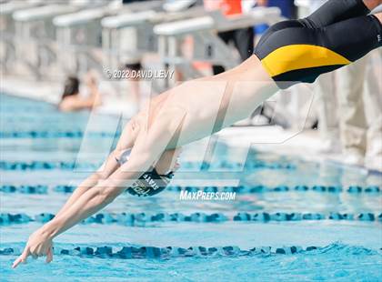 Thumbnail 1 in AIA D2 Swim Finals photogallery.