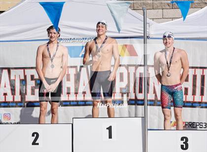 Thumbnail 1 in AIA D2 Swim Finals photogallery.