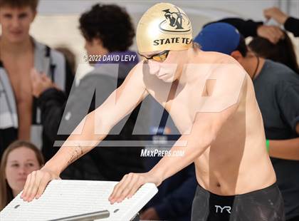 Thumbnail 3 in AIA D2 Swim Finals photogallery.