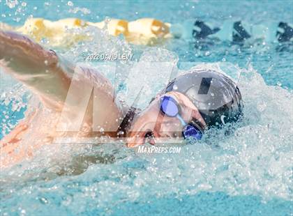 Thumbnail 3 in AIA D2 Swim Finals photogallery.