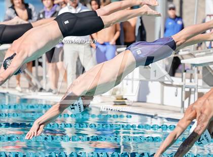 Thumbnail 2 in AIA D2 Swim Finals photogallery.