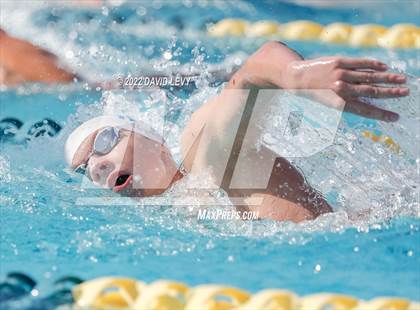 Thumbnail 3 in AIA D2 Swim Finals photogallery.