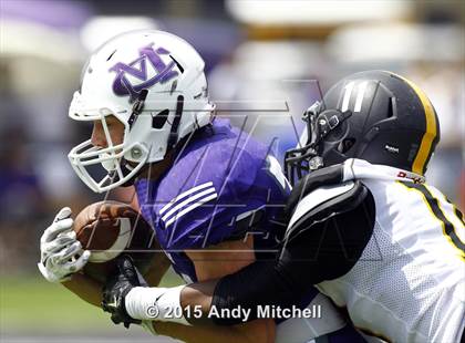 Thumbnail 1 in Hixson vs. Marion County photogallery.