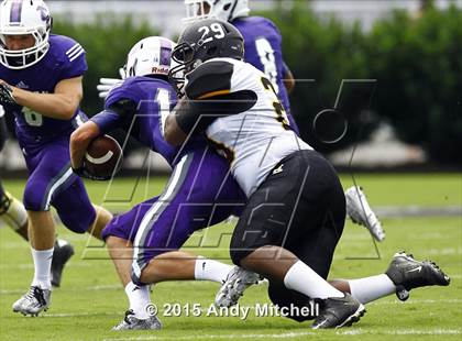 Thumbnail 3 in Hixson vs. Marion County photogallery.