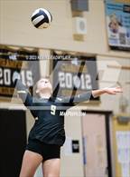 Photo from the gallery "Moorpark @ Oak Park"