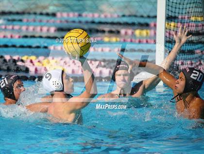 Thumbnail 3 in Vista @ Carlsbad photogallery.