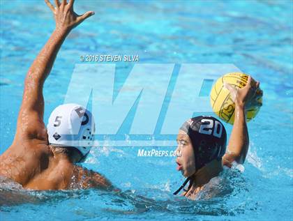 Thumbnail 2 in Vista @ Carlsbad photogallery.