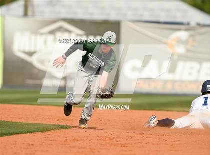 Thumbnail 3 in Acadiana @ Barbe photogallery.