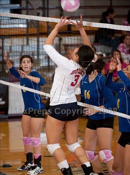 Thumbnail 2 in Alamo Heights @ Dulles (Pearland Volleyball Classic) photogallery.