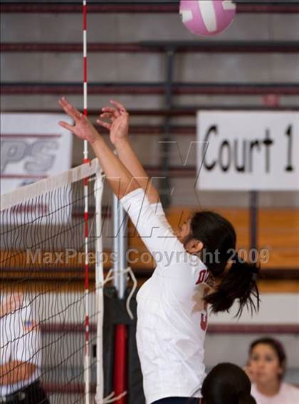 Thumbnail 3 in Alamo Heights @ Dulles (Pearland Volleyball Classic) photogallery.