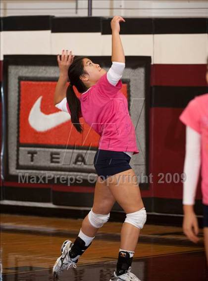 Thumbnail 3 in Alamo Heights @ Dulles (Pearland Volleyball Classic) photogallery.