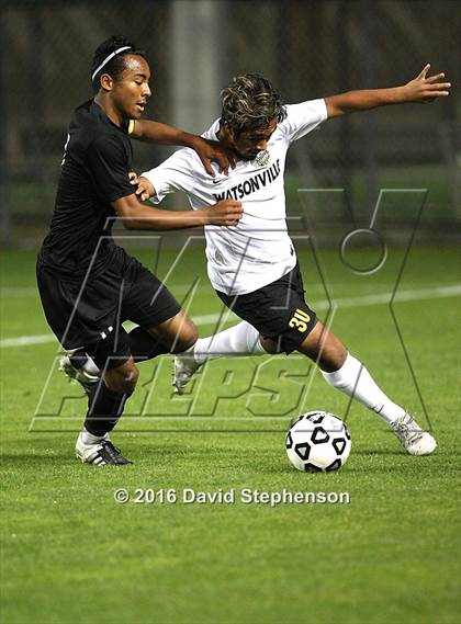 Thumbnail 2 in Archbishop Mitty vs. Watsonville (CIF CCS Open Division Final) photogallery.