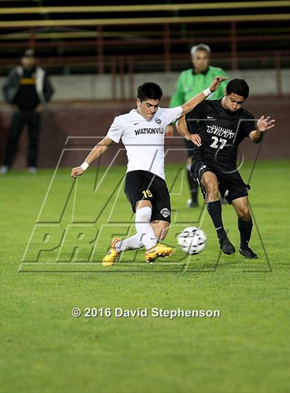 Thumbnail 2 in Archbishop Mitty vs. Watsonville (CIF CCS Open Division Final) photogallery.