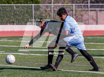 Thumbnail 1 in Blair @ Monrovia photogallery.