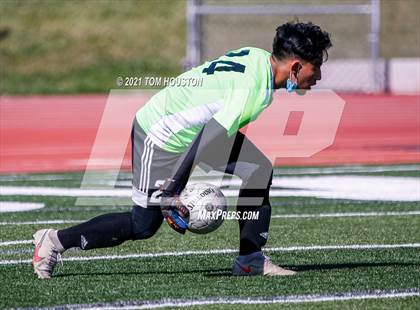 Thumbnail 1 in Blair @ Monrovia photogallery.