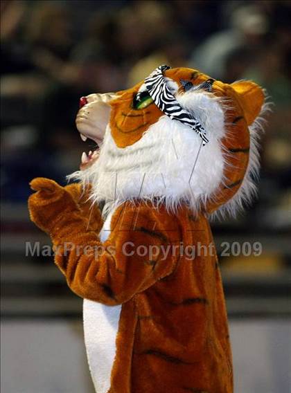Thumbnail 3 in Crandall @ Commerce photogallery.