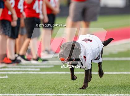 Thumbnail 2 in Rome @ Allatoona photogallery.