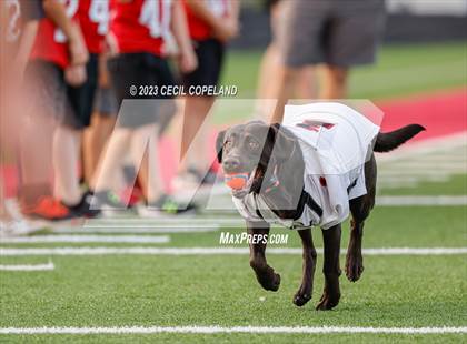 Thumbnail 3 in Rome @ Allatoona photogallery.