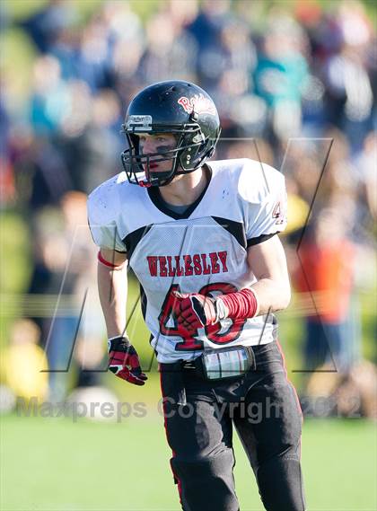 Thumbnail 1 in Wellesley @ Needham photogallery.