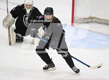Thumbnail 2 in Joel Barlow/Weston/Abbott Tech vs. Wilton (CIAC DIII Semifinal) photogallery.