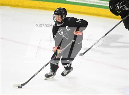 Thumbnail 3 in Joel Barlow/Weston/Abbott Tech vs. Wilton (CIAC DIII Semifinal) photogallery.