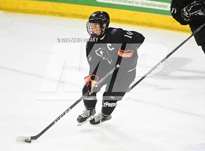 Thumbnail 2 in Joel Barlow/Weston/Abbott Tech vs. Wilton (CIAC DIII Semifinal) photogallery.