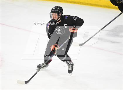 Thumbnail 2 in Joel Barlow/Weston/Abbott Tech vs. Wilton (CIAC DIII Semifinal) photogallery.