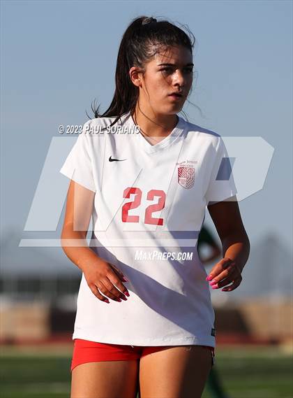 Thumbnail 3 in Regis Jesuit @ Mountain Vista photogallery.