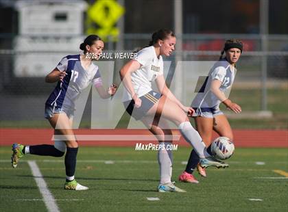Thumbnail 1 in Schuylkill Haven vs. Muncy (PIAA Class A Quarterfinal) photogallery.
