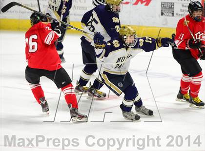 Thumbnail 3 in Fairfield Prep @ Notre Dame Catholic (Webster Bank Arena) photogallery.