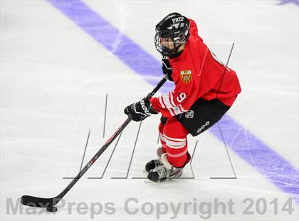 Thumbnail 2 in Fairfield Prep @ Notre Dame Catholic (Webster Bank Arena) photogallery.