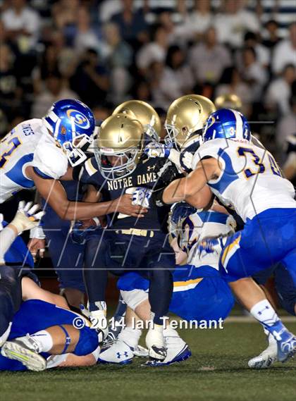 Thumbnail 3 in Serra @ Notre Dame photogallery.