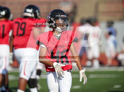 Thumbnail 1 in Norman @ Mustang photogallery.