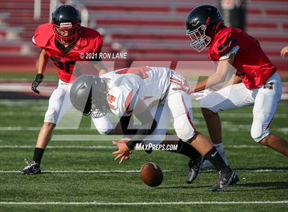 Thumbnail 2 in Norman @ Mustang photogallery.