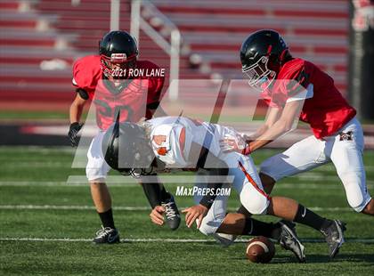 Thumbnail 3 in Norman @ Mustang photogallery.