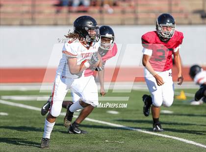 Thumbnail 2 in Norman @ Mustang photogallery.