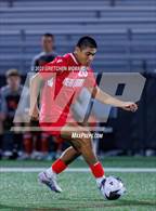 Photo from the gallery "Warde @ New Canaan"